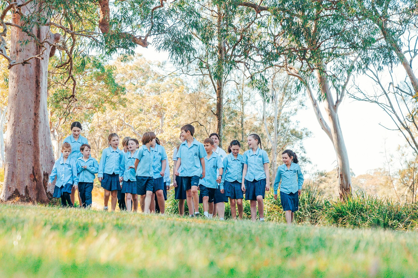 Group of happy students walking together in nature on school campus